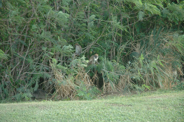 2007-01-13-1251_TAD_073