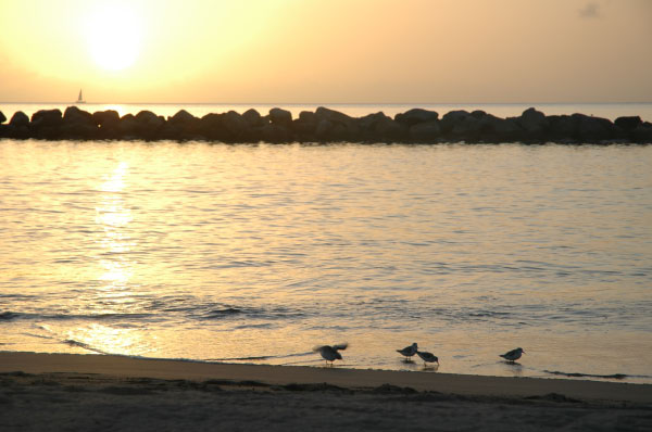 2007-01-13-1251_TAD_213