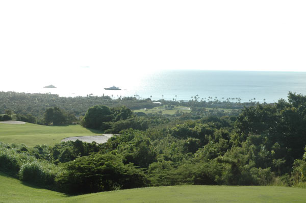 2007-01-13-1251_TAD_236