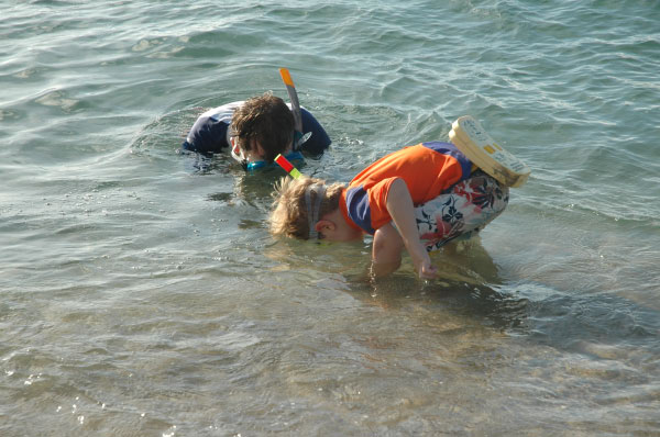 2007-01-13-1251_TAD_309