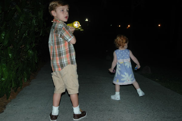 2007-01-13-1251_TAD_332